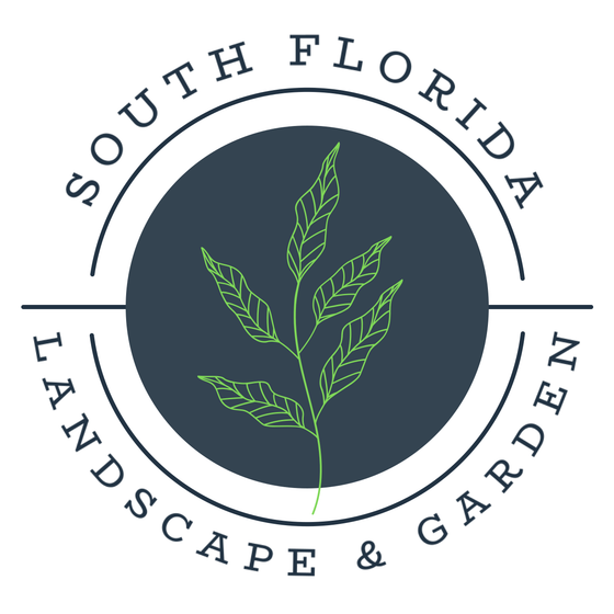 Plants & Children Get House Plants